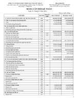 Báo cáo tài chính quý 1 năm 2010 - Công ty Cổ phần Phát triển Hạ tầng Kỹ thuật