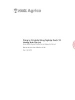 Báo cáo tài chính hợp nhất quý 1 năm 2015 - Công ty cổ phần Nông nghiệp Quốc tế Hoàng Anh Gia Lai