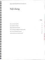 Báo cáo tài chính hợp nhất năm 2010 (đã kiểm toán) - Công ty Cổ phần Thực phẩm Quốc tế