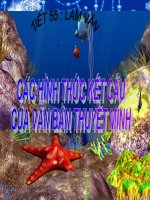 CÁC HÌNH THỨC KẾT CẤU  CỦA VĂN BẢN THUYẾT MINH