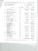 Báo cáo tài chính năm 2007 - Công ty Cổ phần Kỹ nghệ Khoáng sản Quảng Nam