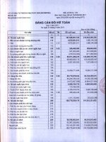 Báo cáo tài chính quý 1 năm 2011 - Công ty Cổ phần Đầu tư Thương mại Thủy Sản