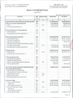 Báo cáo tài chính quý 2 năm 2011 - Công ty Cổ phần Ngô Han