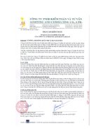 Báo cáo tài chính năm 2009 (đã kiểm toán) - Công ty cổ phần Du lịch - Dịch vụ Hội An