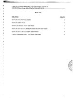 Báo cáo tài chính hợp nhất năm 2010 (đã kiểm toán) - Công ty cổ phần Sản xuất - Xuất nhập khẩu Thanh Hà