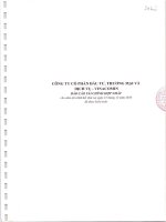 Báo cáo tài chính hợp nhất năm 2010 (đã kiểm toán) - Công ty cổ phần Đầu tư, Thương mại và Dịch vụ - Vinacomin