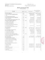 Báo cáo tài chính quý 1 năm 2013 - Công ty Cổ phần Đầu tư Thương mại Thủy Sản