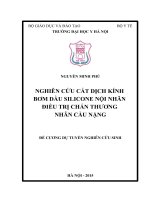 NGHIÊN cứu cắt DỊCH KÍNH bơm dầu SILICONE nội NHÃN điều TRỊ CHẤN THƯƠNG NHÃN cầu NẶNG 