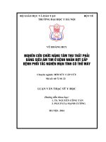 NGHIÊN cứu CHỨC NĂNG tâm THU THẤT PHẢI BẰNG SIÊU âm TIM ở BỆNH NHÂN đợt cấp BỆNH PHỔI tắc NGHẼN mạn TÍNH có THỞ máy 