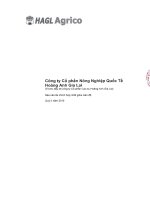 Báo cáo tài chính hợp nhất quý 2 năm 2015 - Công ty cổ phần Nông nghiệp Quốc tế Hoàng Anh Gia Lai