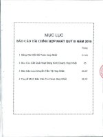 Báo cáo tài chính hợp nhất quý 3 năm 2010 - Công ty Cổ phần Khoáng sản và Vật liệu xây dựng Lâm Đồng