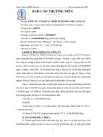 Báo cáo thường niên năm 2010 - Công ty Cổ phần Sách và Thiết bị trường học Long An