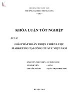 Luận văn giải pháp hoàn thiện chiến lược marketing tại công ty SVC việt nam 