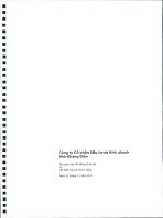 Báo cáo tài chính công ty mẹ năm 2010 (đã kiểm toán) - Công ty Cổ phần Đầu tư Kinh doanh nhà Khang Điền