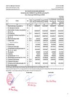 Báo cáo KQKD quý 1 năm 2013 - Công ty cổ phần Thiết bị Y tế Việt Nhật