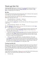 Đặc điểm và cách sử dụng thành ngữ Hán Việt trong tiếng Việt