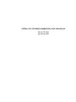 Báo cáo tài chính quý 3 năm 2008 - Công ty Cổ phần Khoáng sản Mangan