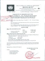 Nghị quyết Hội đồng Quản trị ngày 17-1-2011 - Công ty cổ phần Tư vấn-Thương mại-Dịch vụ Địa ốc Hoàng Quân