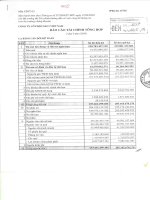 Báo cáo tài chính quý 1 năm 2009 - Công ty Cổ phần Đầu tư và Xây dựng BDC Việt Nam