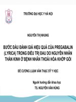 BƯỚC đầu ĐÁNH GIÁ HIệU QUẢ CỦA PREGABALIN (LYRICA) TRONG điều TRỊ ĐAU DO NGUYêN NHÂN THẦN KINH ở BệNH NHÂN THOÁI HÓA KHỚP gối 