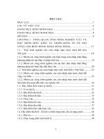 ĐÁNH GIÁ HIỆN TRẠNG VÀ DỰ BÁO XÂM NHẬP MẶN TẦNG CHỨA NƯỚC PLEISTOCEN DO  KHAI THÁC NƯỚC DƯỚI ĐẤT VÙNG VEN BIỂN  ĐỒNG BẰNG SÔNG HỒNG