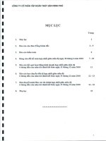 Báo cáo tài chính quý 2 năm 2010 (đã kiểm toán) - Công ty Cổ phần Tập đoàn Thủy sản Minh Phú