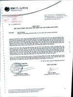 Báo cáo kết quả kinh doanh hợp nhất soát xét quý 2 năm 2012 - Công ty Cổ phần Khoáng sản và Vật liệu xây dựng Lâm Đồng