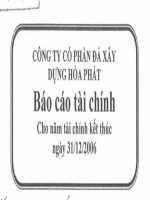 Báo cáo tài chính năm 2006 (đã kiểm toán) - Công ty Cổ phần Đá Xây dựng Hoà Phát