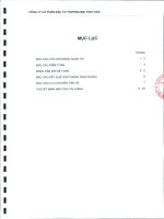 Báo cáo tài chính năm 2010 (đã kiểm toán) - Công ty Cổ phần Đầu tư Thương mại Thủy Sản