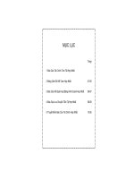 Báo cáo tài chính hợp nhất quý 4 năm 2008 - Công ty Cổ phần Khoáng sản và Vật liệu xây dựng Lâm Đồng