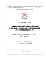 PHÂN TÍCH đặc điểm đậm độ cản QUANG và KHẢ NĂNG PHÁT HIỆN tổn THƯƠNG DẠNG KHỐI và vôi hóa của XQUANG vú 