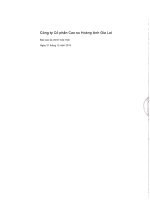 Báo cáo tài chính hợp nhất năm 2013 (đã kiểm toán) - Công ty cổ phần Nông nghiệp Quốc tế Hoàng Anh Gia Lai