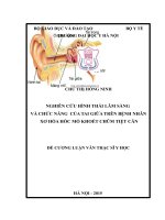 NGHIÊN cứu HÌNH THÁI lâm SÀNG và CHỨC NĂNG  của TAI GIỮA TRÊN BỆNH NHÂN xơ hóa hốc mổ KHOÉT CHŨM TIỆT căn 