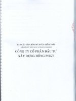 Báo cáo tài chính năm 2010 (đã kiểm toán) - Công ty Cổ phần Đầu tư Xây dựng Hồng Phát
