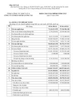 Báo cáo tài chính quý 4 năm 2008 - Công ty Cổ phần Đầu tư Xây dựng Lương Tài