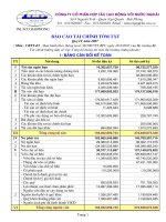 Báo cáo tài chính quý 4 năm 2007 - Công ty Cổ phần Hợp tác Lao động với Nước ngoài