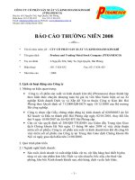 Báo cáo thường niên năm 2008 - Công ty Cổ phần Sản xuất và Kinh doanh Kim khí