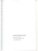 Báo cáo tài chính năm 2008 (đã kiểm toán) - Công ty Cổ phần Minh Hữu Liên