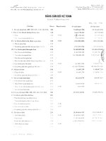 Báo cáo tài chính công ty mẹ quý 1 năm 2011 - Công ty cổ phần Sản xuất - Xuất nhập khẩu Thanh Hà