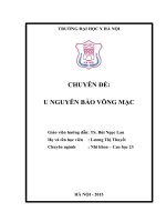 u nguyên bào võng mạc 