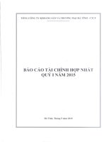 Báo cáo tài chính hợp nhất quý 1 năm 2015 - Tổng Công ty Khoáng sản và Thương mại Hà Tĩnh - CTCP