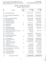 Báo cáo tài chính năm 2008 (đã kiểm toán) - Công ty cổ phần Than Mông Dương - Vinacomin