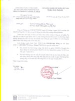 Báo cáo tài chính quý 3 năm 2012 - Công ty Cổ phần Tư vấn Đầu tư IDICO