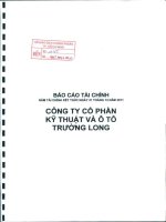 Báo cáo tài chính năm 2011 (đã kiểm toán) - Công ty Cổ phần Kỹ thuật và Ô tô Trường Long