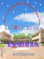 giáo án bàn tay nặn bột sinh học 9 bài ô nhiễm môi trường