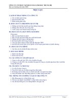 Báo cáo thường niên năm 2008 - Công ty Cổ phần Tập đoàn Mai Linh Miền Trung