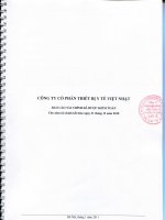 Báo cáo tài chính năm 2010 (đã kiểm toán) - Công ty cổ phần Thiết bị Y tế Việt Nhật