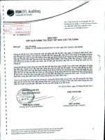 Báo cáo kết quả kinh doanh mẹ soát xét quý 2 năm 2012 - Công ty Cổ phần Khoáng sản và Vật liệu xây dựng Lâm Đồng