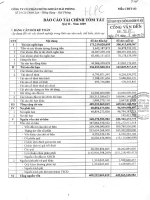 Báo cáo tài chính quý 2 năm 2009 - Công ty Cổ phần Chứng khoán Hải Phòng