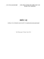 Bản điều lệ - Công ty Cổ phần Sản xuất và Kinh doanh Kim khí